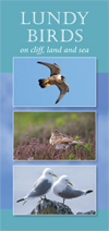 Lundy Birds