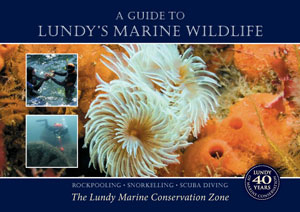 Marine Guide