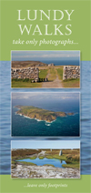 Lundy Walks