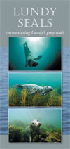 Seals
