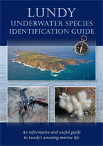 Underwater Guide